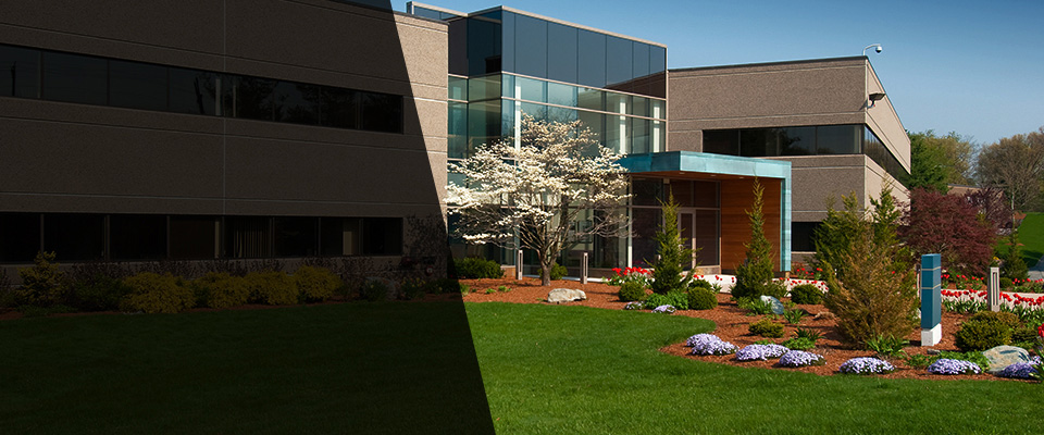 Sophia Landscapers