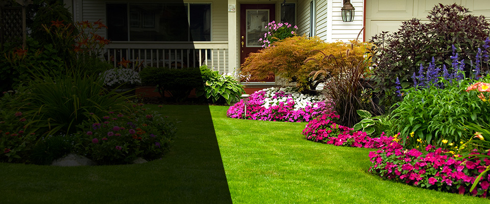Sophia Landscapers