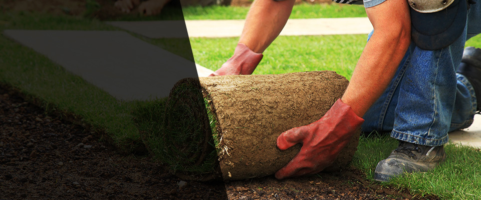 Sophia Landscapers